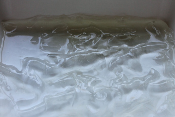 Borůvkový letní dort