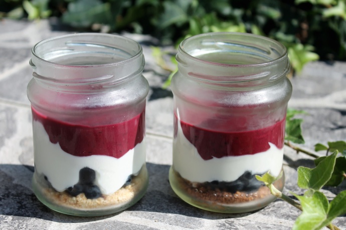 Borůvkovo-tvarohový zmrzlinový dezert