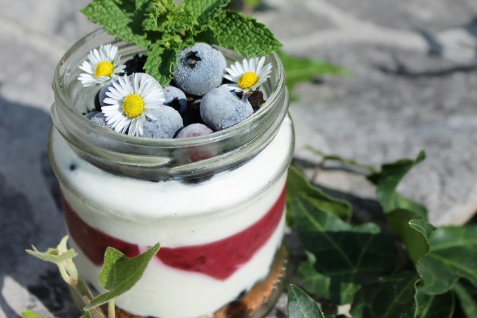 Borůvkovo-tvarohový zmrzlinový dezert