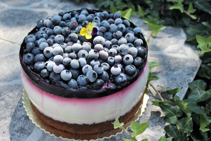 Borůvkový letní dort