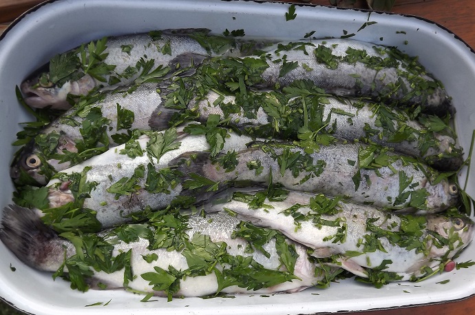 Pečený pstruh Pečený pstruh