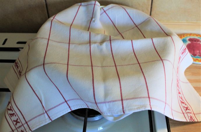 Kynutý borůvkový koláč