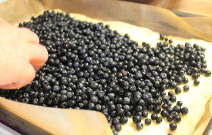 Kynutý borůvkový koláč