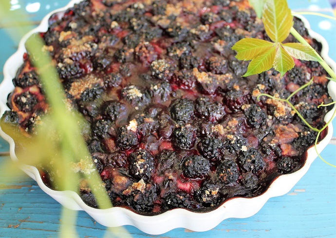 Ostružinový koláč